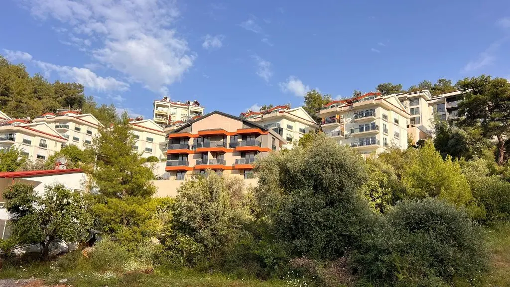 Project in Tasyaka